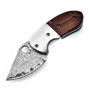 Mini Mantis coltello damascato Steel coltello pieghevole in legno manico coltello tascabile Portable Unboxing
