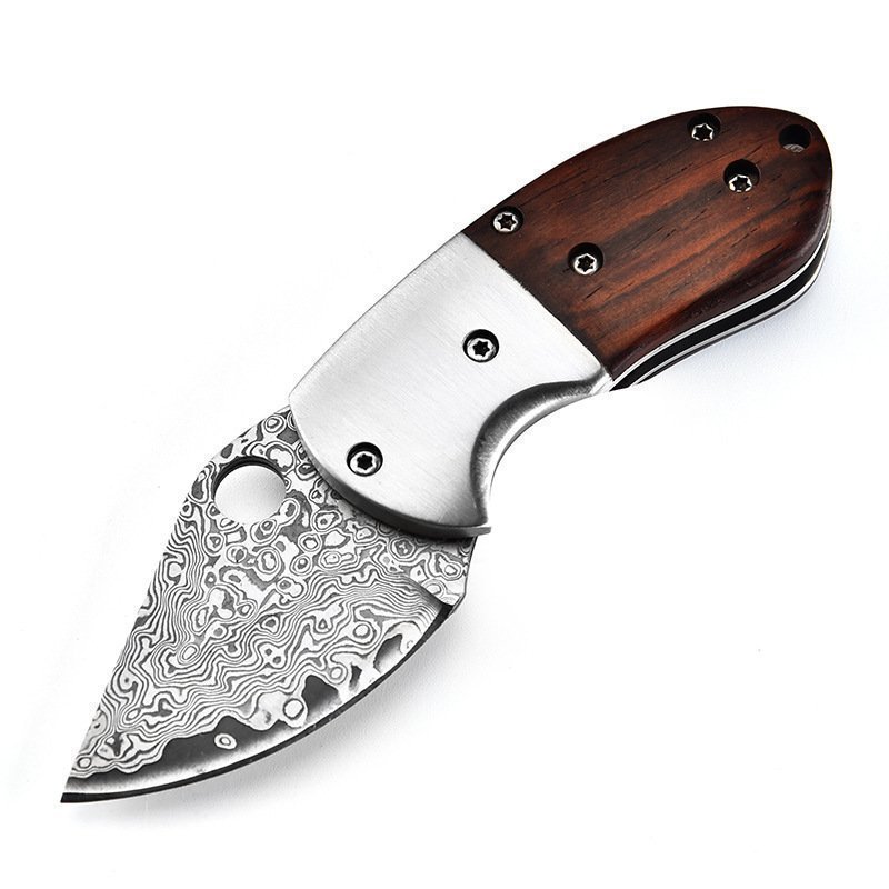 Mini Mantis coltello damascato Steel coltello pieghevole in legno manico coltello tascabile Portable Unboxing 1 Mini Mantis coltello damascato Steel coltello pieghevole in legno manico coltello tascabile Portable Unboxing