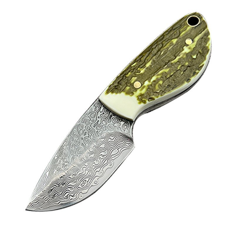 Coltello damascato Outdoor Mini coltello tascabile Forged damascato Steel Pocket Survival 1 Coltello damascato Outdoor Mini coltello tascabile Forged damascato Steel Pocket Survival