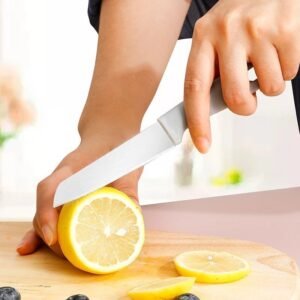 10 pcs paring coltello set /Color Mix kitchen/camping/fish coltello